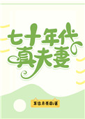 七十年代真夫妻txt免费下载