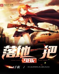 落地一把98k类似小说